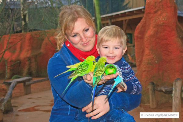 Vogelpark Marlow